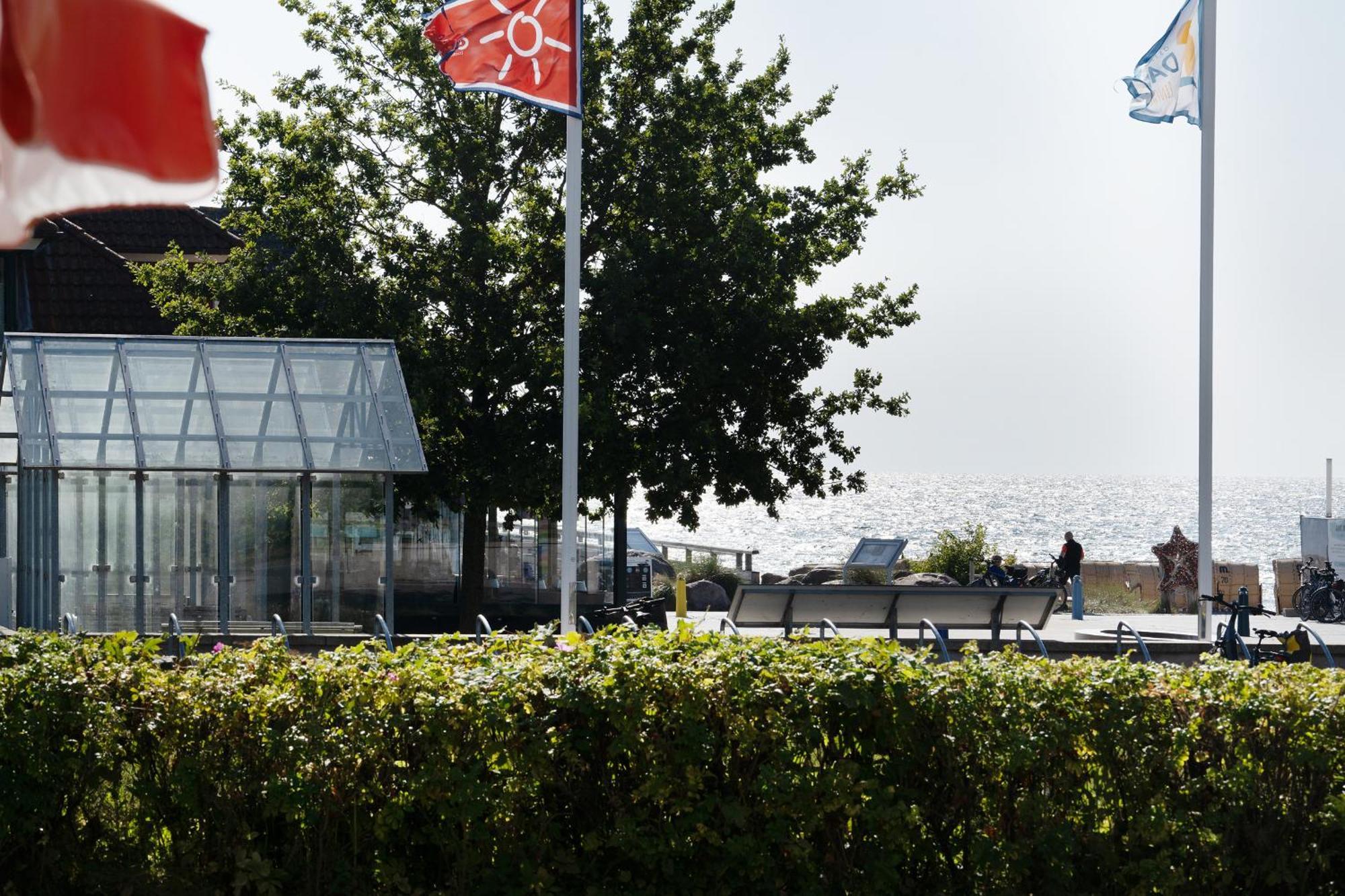 Haus Seeblick Strandmuschel Kellenhusen Eksteriør billede